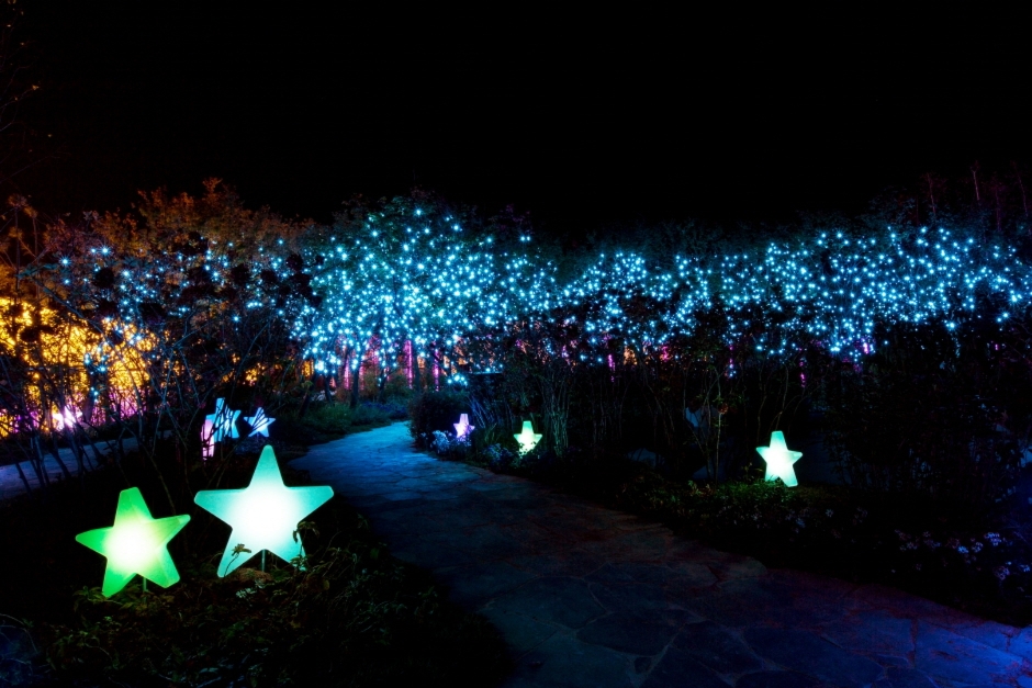 Starlight Garden OOOZOOO (별빛정원우주)