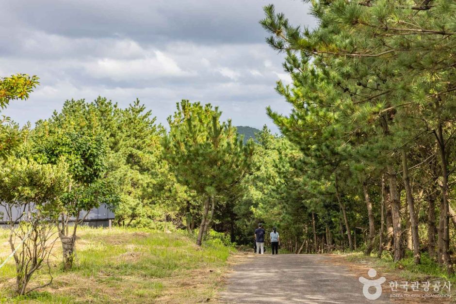 thumbnail-제주자연생태공원-1