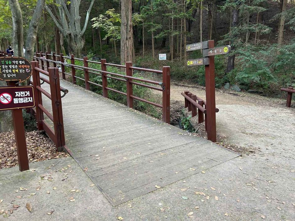 인천대공원 치유숲길