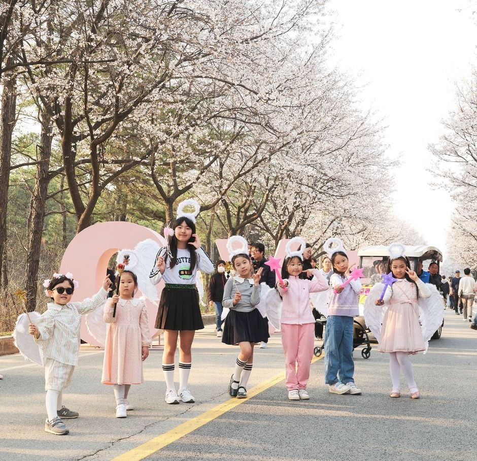 2025 여주흥천남한강 벚꽃축제 3