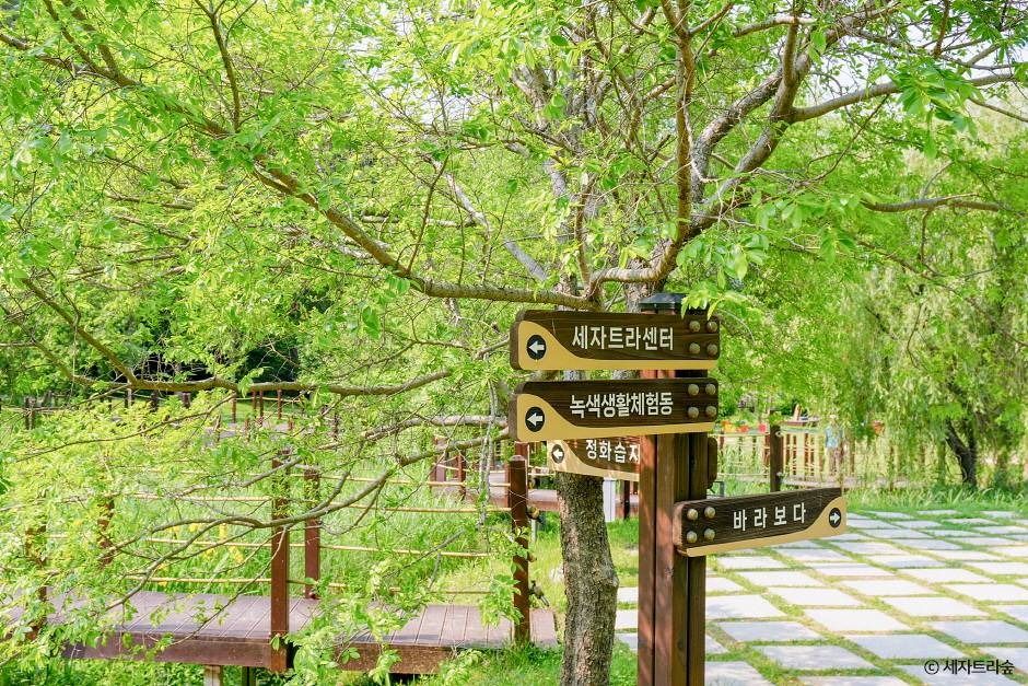 통영RCE세자트라숲