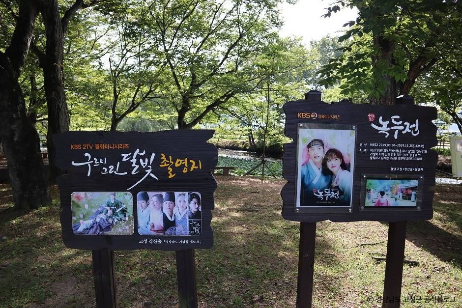 고성 장산숲