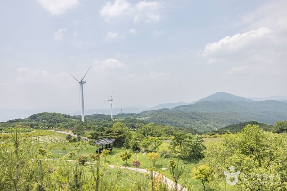 경주_경주 풍력발전(바람의언덕) (7)