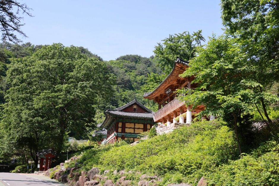 산청_대원사계곡길 (3)