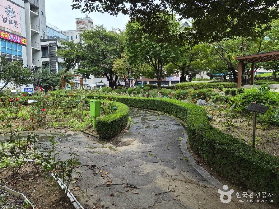 thumbnail-장미공원-16