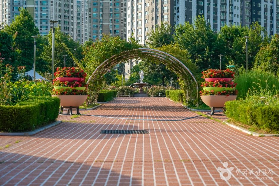 thumbnail-장미공원(창원)-5