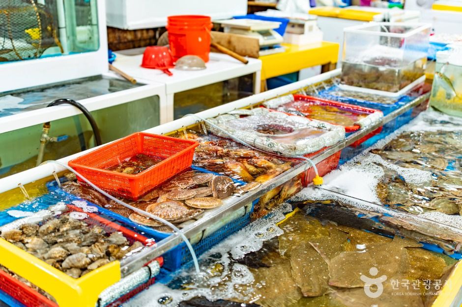 당진_당진시 수산물 유통센터(5)