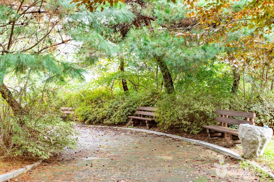 불당동 유적공원 (선사유적지 공원)