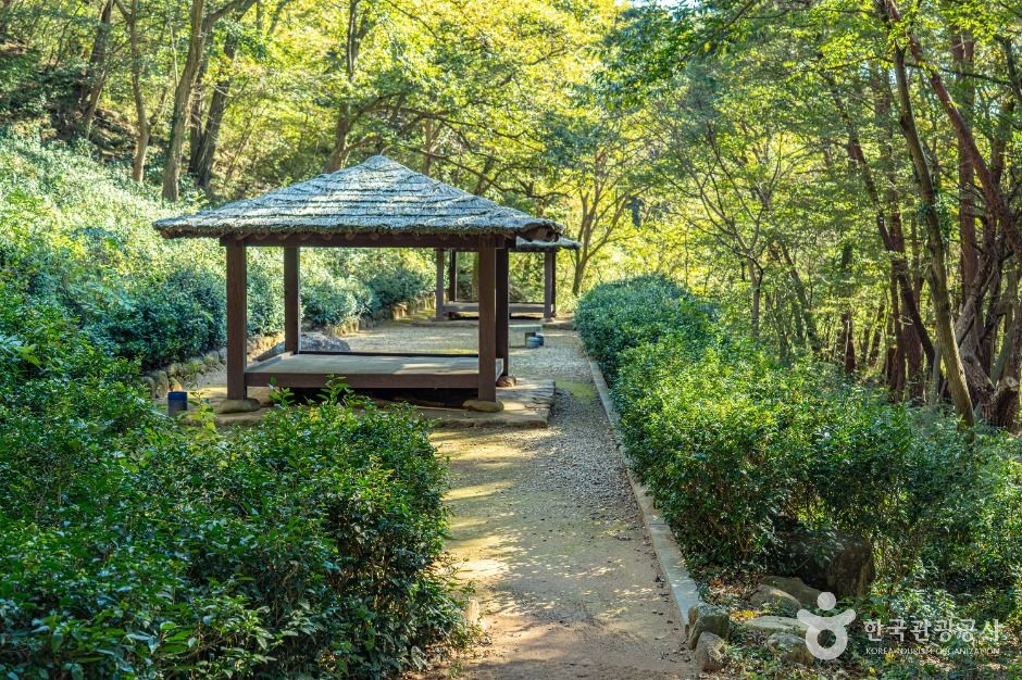 thumbnail-구례장죽전녹차시배지-1