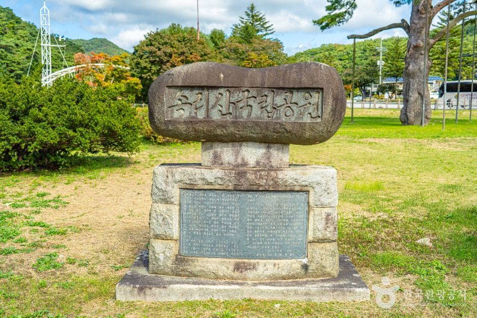 보은 속리 정이품송