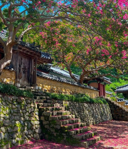 도암서원(고령)