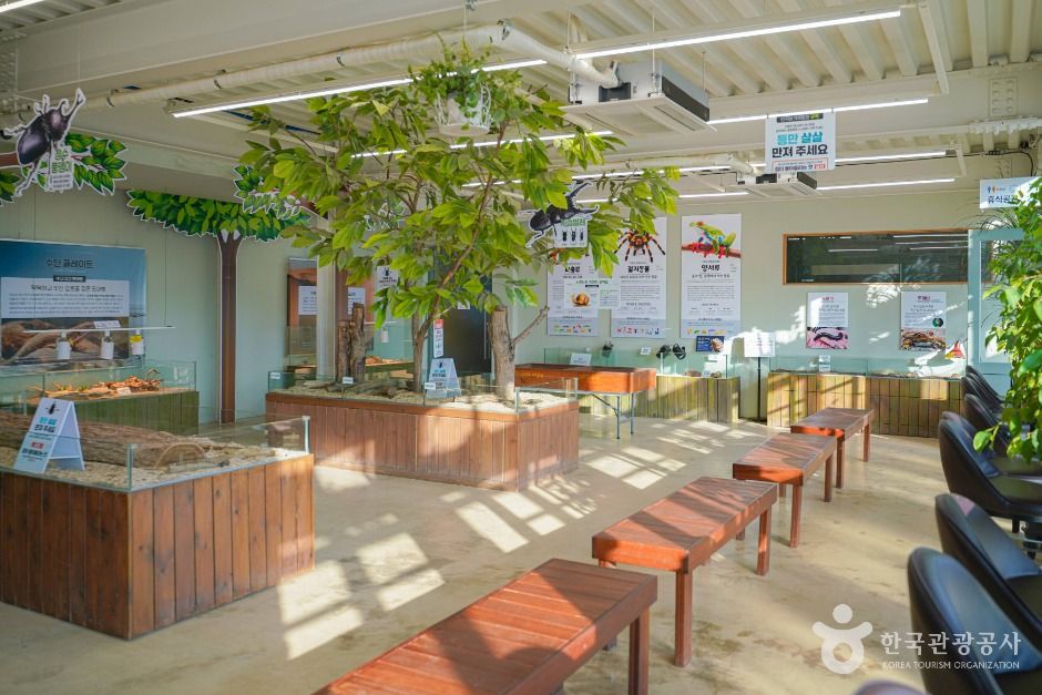 용인 곤충테마파크