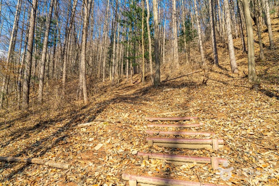 평창_고랭길 (3)