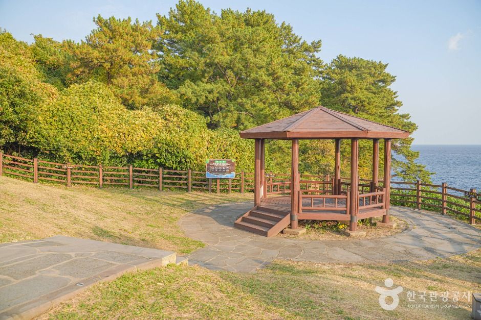 서귀포_[하영올레] 2코스 (3)