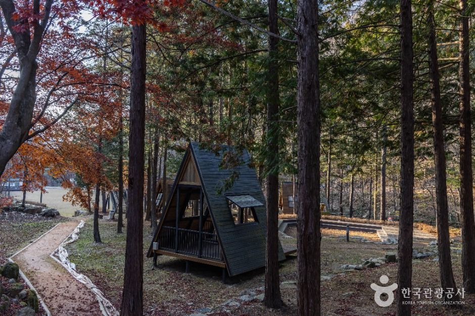 임실_왕의숲 국민여가캠핑장 (5)