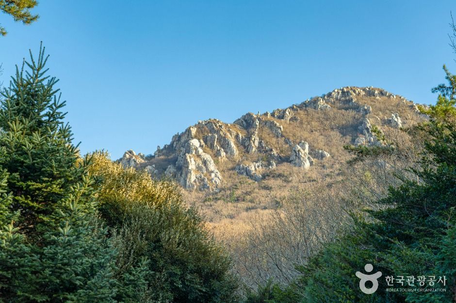 해남_달마고도 (8)