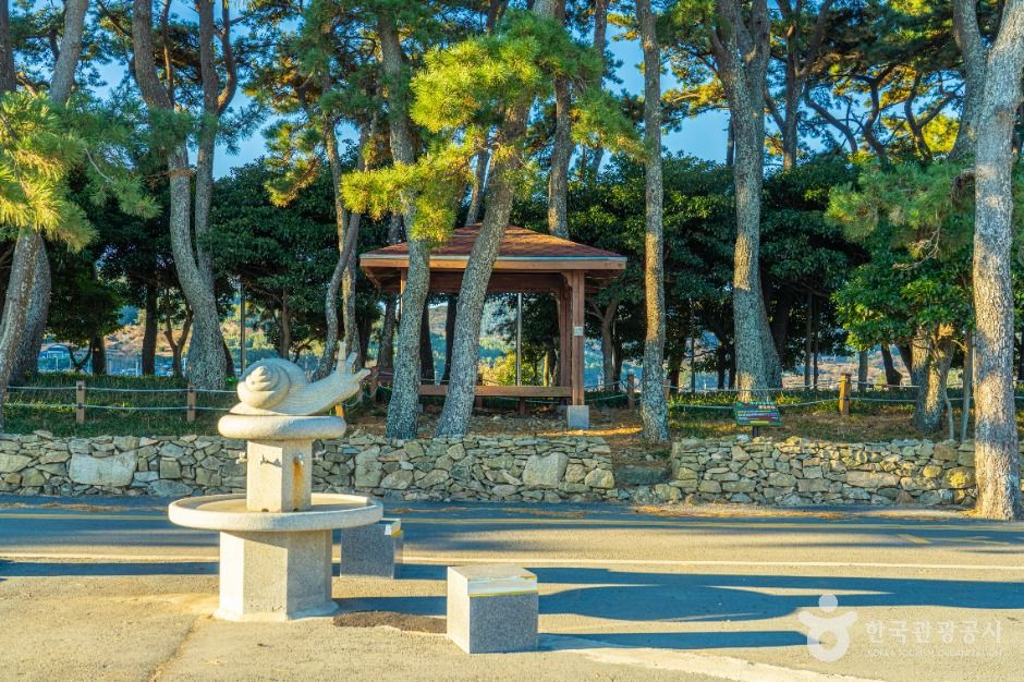 완도_신흥해수욕장 (5)