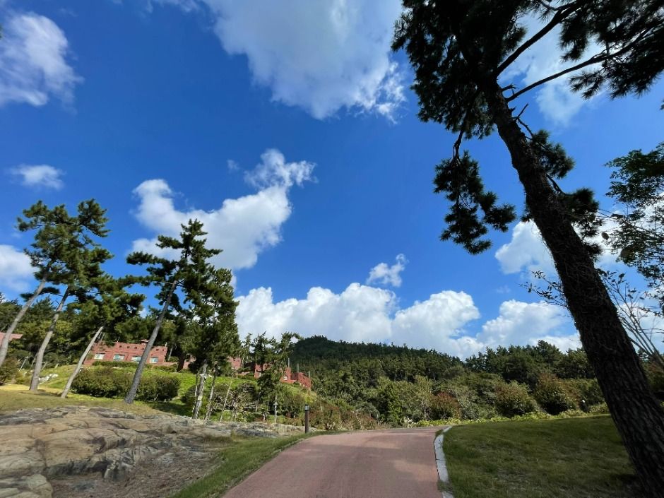 진도_국립진도자연휴양림 (7)