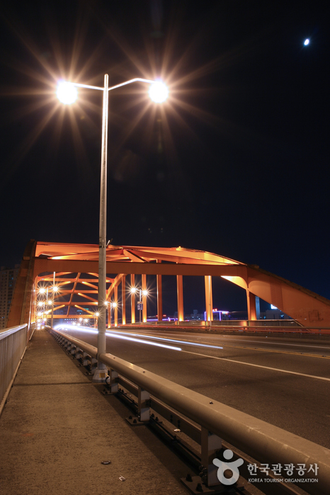 Puente Busandaegyo (부산대교)