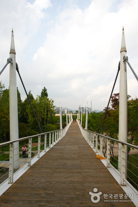 Seoul Forest (서울숲)