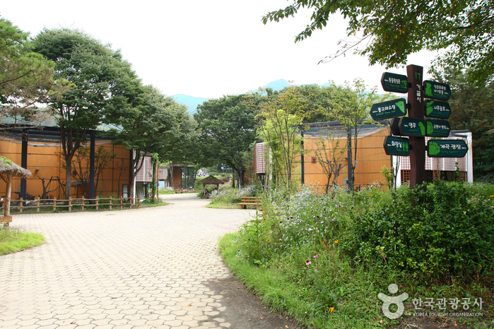 Seoul Grand Park (서울대공원-서울동물원)