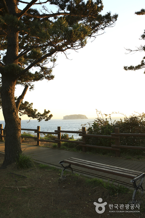 [제주올레 7코스] 서귀포-월평 올레2