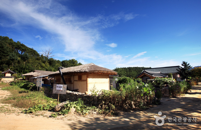 Yeongju Museom Village (영주 무섬마을)