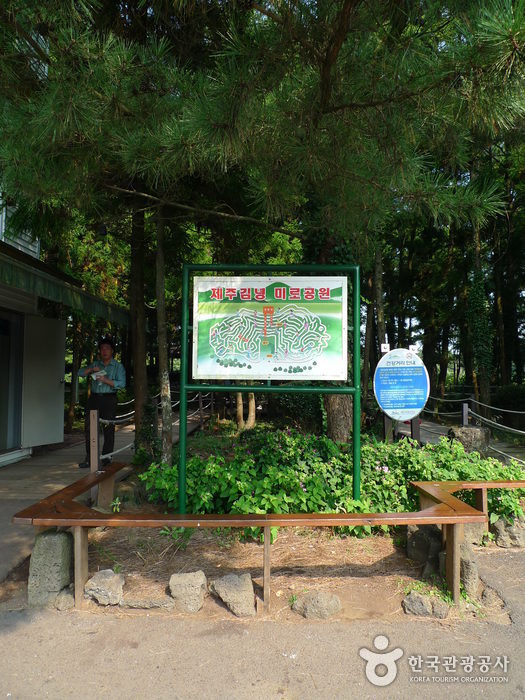 Gimnyeong Maze Park (김녕미로공원)