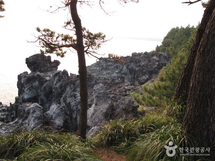 Acantilado Jusangjeolli (Rocas Jisatgae de Daepo-dong) (주상절리(대포동지삿개))