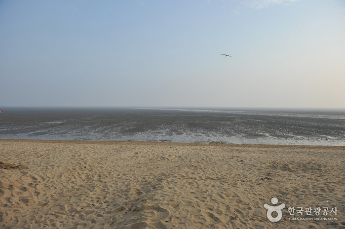 thumbnail-Dongmak Beach (강화 동막해변)-2
