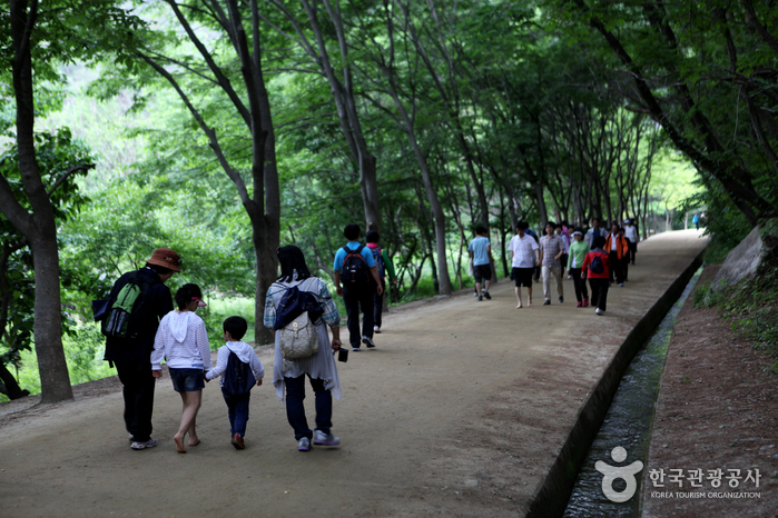 문경새재도립공원 사진26