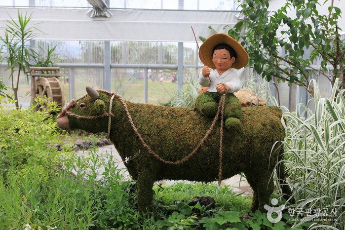 Jardin national de la baie de Suncheon (순천만 국가정원)9