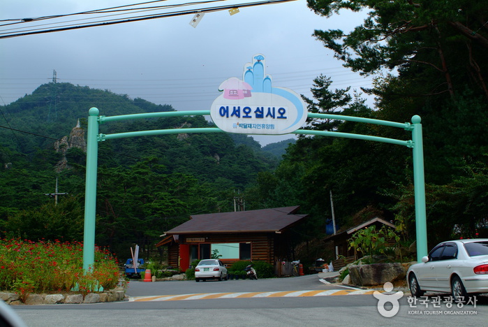 Bakdaljae Natural Forest (박달재자연휴양림)