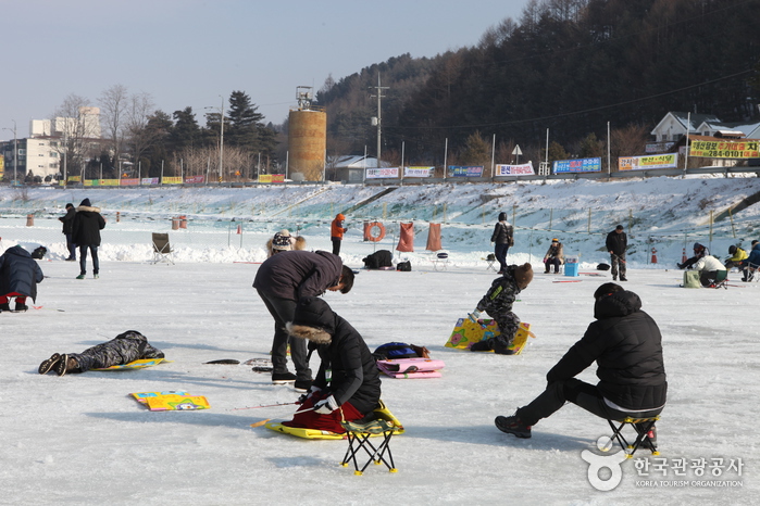 강원 평창군 사진5