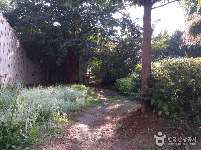 팜카밀레 허브축제 20202