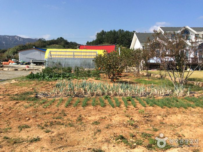 해남 땅끝바다의향기2