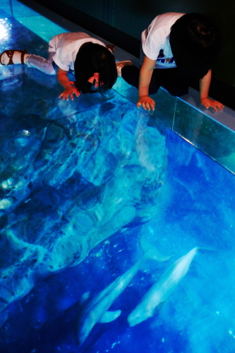 SEA LIFE Busan Aquarium (SEA LIFE 부산아쿠아리움)