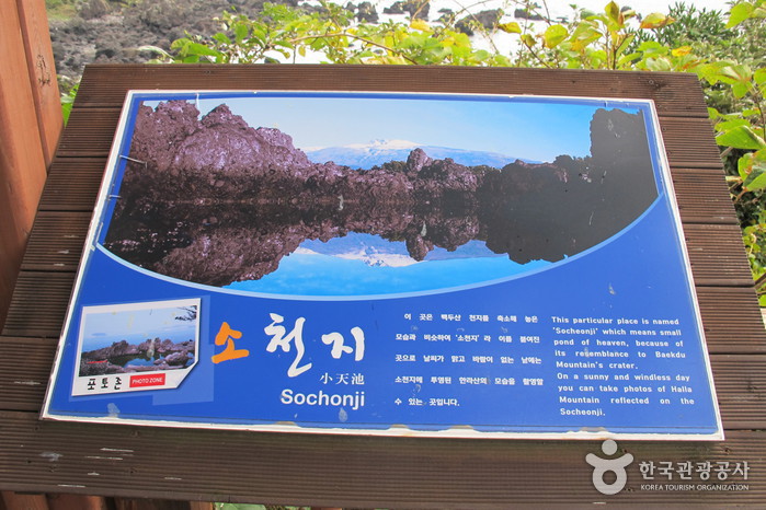 [제주올레 6코스] 쇠소깍-서귀포 올레6