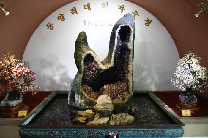 扶安猴子學校自然史博物館(부안 원숭이학교 자연사박물관)2