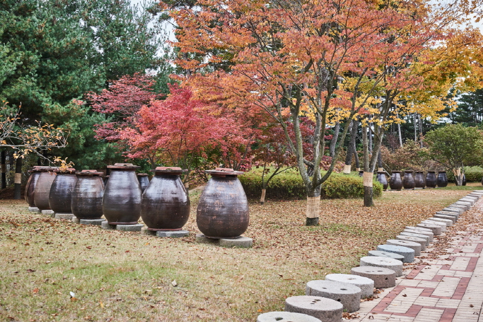 Museo Juhyangno de Guksundang (국순당 주향로)9