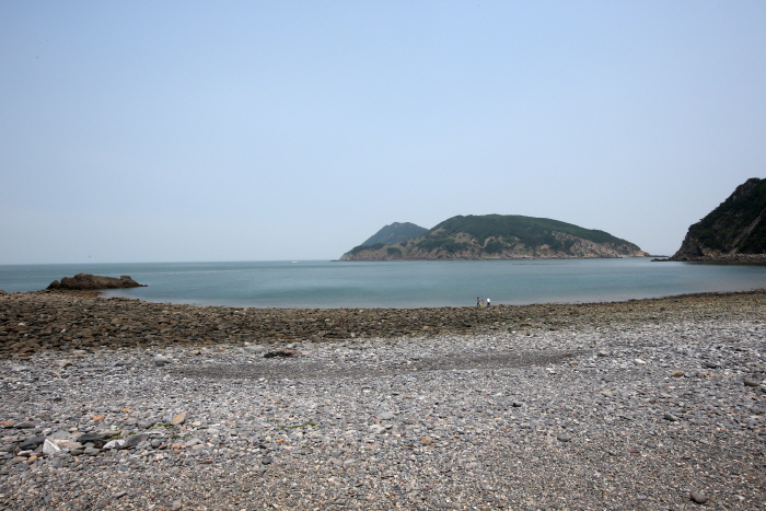 Field of Reeds on Deokjeokdo Island (덕적도 갈대 군락지)9