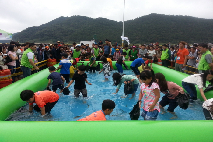 광양전어축제 20190