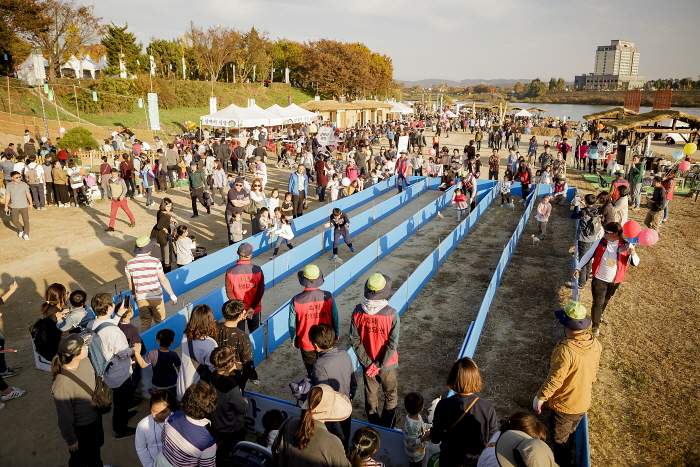 여주오곡나루축제5
