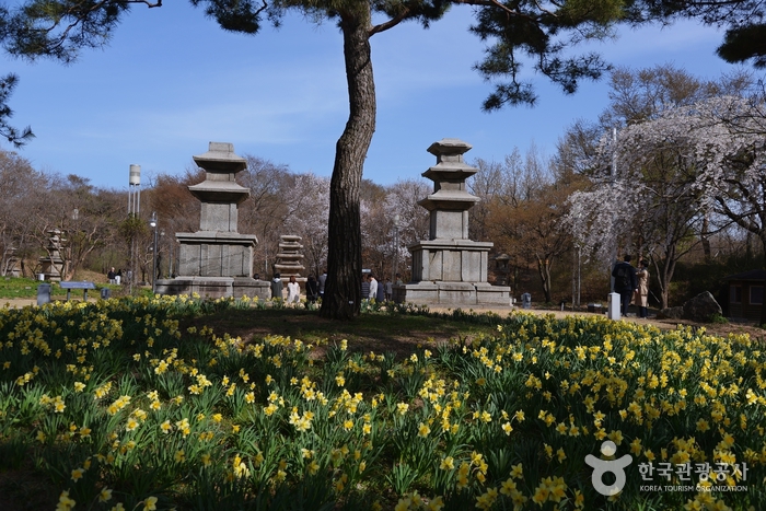 국립중앙박물관8