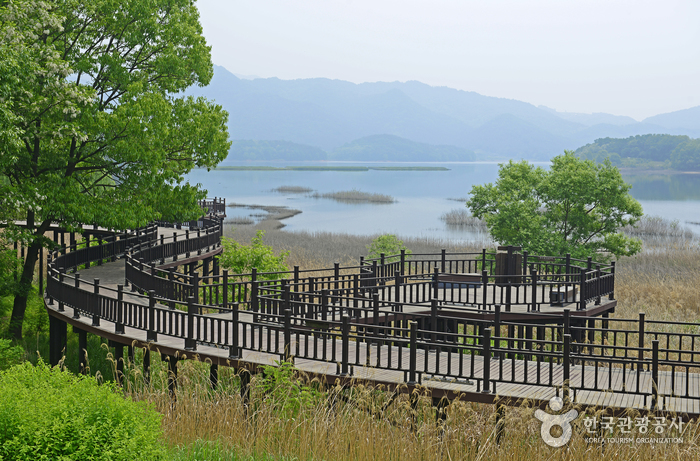 Straße Daecheongho Obaengni (대청호오백리길)