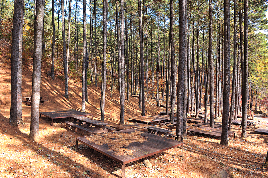 백운산 자연휴양림 자동차야영장0