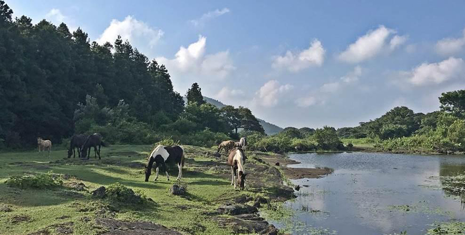 제라진어드벤쳐0