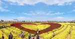 2022 서산국화축제 (3)