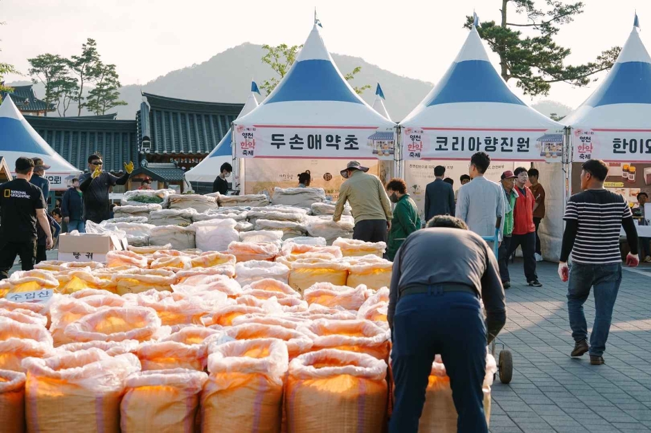thumbnail-Yeongcheon Traditional Korean Medicine Festival (영천한약축제)-4