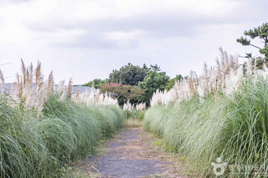 Парк Норимэ (노리매공원)